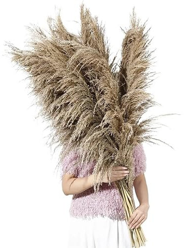 Pampas Decorative Erba della Pampa alta, 80-120 cm, fiore essiccato vintage floreale marrone naturale della Pampa, grande pianta essiccata for bouquet di decorazioni for soggiorno Pampas Grass(80-120c