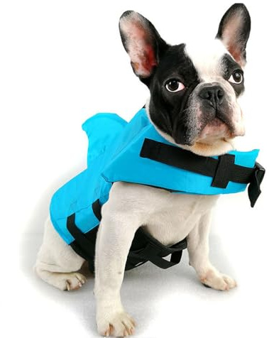 Voarge Life Jacket, Bouée de sauvetage pour chien, Avola de Paddle, Flottabilité supérieure, Ripstop Réglable Requin Gilet de sauvetage, Bleu, M