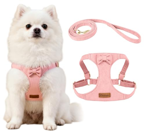 XFSRG Harnais Chien Nœud Papillon Anti Traction Facile à Mettre Réglable Harnais de Poitrine avec Longe pour Petit Moyens Chiens Promenades(Rose/XS)