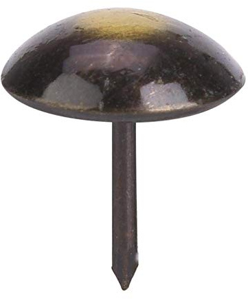 100Pcs Chiodo per Tappezzeria, Chiodi per Tappezzeria Chiodi per Mobili per Mobili Chiodi Decorativi Perni per Tappezzeria Chiodi per Tappezzeria Chiodi per Mobili Antichi(16 * 20mm)