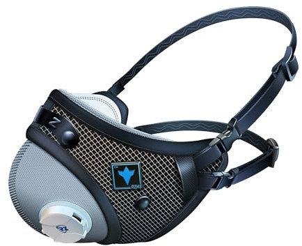 RZ Mask FFP2 - Masque anti-poussière anti-smog au charbon actif - certifié CE - étui et 1 filtre gratuit