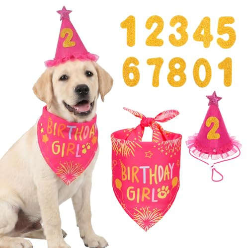 Hundfödelsedagsset, rosa hund födelsedag, hund födelsedagar, hundkaka födelsedag med hatt bandana & 3 bling-nummer, hund födelsedag dekoration av fleece för valpar fest