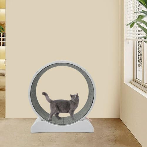 Roue d'exercice pour chat - Diamètre : 80 cm - Jouet d'entraînement ultra silencieux - Convient à la plupart des chats