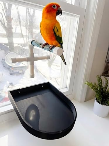 CleanPerch™ Bird Food Waste Catcher Tray with Suction Cups. Half Stadium Shape That attaches to Windows. Reduces Scatter, Easy-Clean, and Low-Profile (Black, 9 x 11.5 x 3.7)