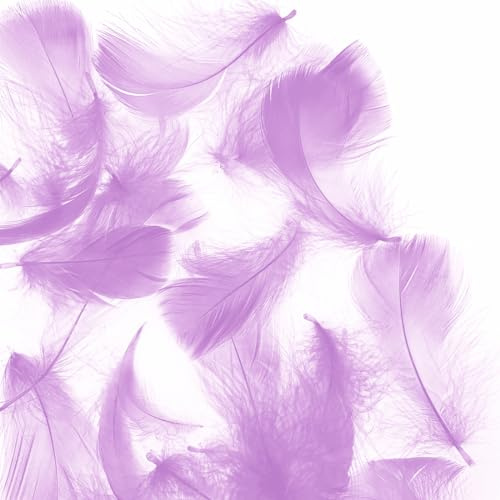 Light Purple 600pcs Colorful Feathers 20 Colors Craft Feathers 3-5 Inches Assorted Rainbow Colors Feathers for Kids Handmade Wedding DIY Decorations Natural Feather