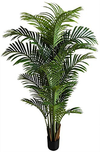 Seidenblumen Roß Hawaiipalme 150cm DA künstliche Zimmerpalme Palmen Kunstpalmen Kunstpflanzen Dekopalme