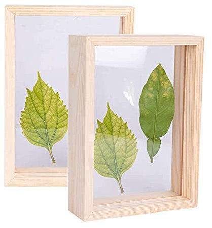 C&Z 2Pcs 4x6 Marcos de Fotos de Madera de Doble Cara acrílico para Plantas de herbario de, para exhibición de Flores prensadas, Hojas secas, Mesa de Escritorio, decoración de Pared de Madera