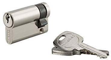 THIRARD - Demi-cylindre de serrure, 40x10mm, anti-arrachement, nickel, 3 clés