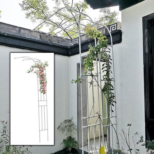 Arco per Rose A Mezza, Arco da Giardino Cornice di Vite Rosa, pergolato in Metallo con Traliccio ad Arco 60cm 90cm 120 cm 150cm W per Piante rampicanti, pergolato(Bianco,W150xH240x40cm)