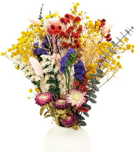 CAwished Bouquet de Fleurs séchées Naturelles pour la décoration de la Maison Table Boho Fleurs Naturelles fabriquées à partir de Vraies Fleurs pour la décoration du Salon Arrangement de Mariage