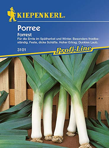 Kiepenkerl 3101 Porree Forrest (Porreesamen)