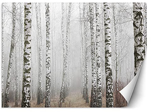 Feeby Wandtapete Fototapete Vlies Bäume Birken Natur 250x175 cm Grau Modern Tapete Wohnzimmer Schlafzimmer Restaurant Nebel Wald