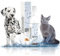 ICF | Zincoseb Dog Spray For Itchy Skin Relief | Anti Itch + Antifungal + Antibacterial Dry Dog Shampoo Spray And Conditioner For Pets With Sensitive Skin