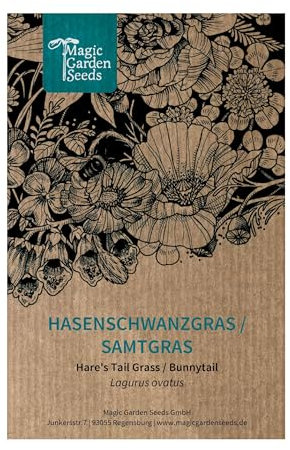 Hasenschwanzgras/Samtgras (Lagurus ovatus) ca. 300 Samen des Ziergras für den naturnahen Garten, Schnittblume, Trockenblume
