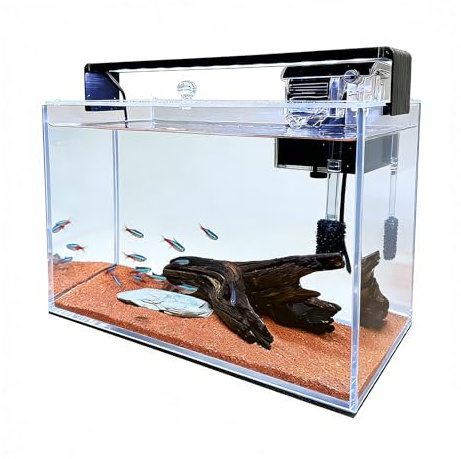 SMTAQX 3.2 Gallon Fish Tank, Nano Nature Aquarium Kit,Small Aquarium Starter Kit,Ultra-Clear Rimless Desktop Small Aquarium with Filter and Light for Betta,Shrimp,Goldfish.Clear Glass