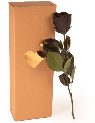 Ewige Rose Schwarz - echte ewige Rose mit Stiel 30-35cm lang haltbar 3 Jahre - Blumen schwarze Deko Geschenke für Frauen zum Geburtstag - Beste Freundin Geschenke (Schwarz)