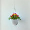 Vaso Sospeso da Giardino, 20 cm, Vaso Pensile con Catena in Metallo e Gancio per Piante e Fiori (Bianco)