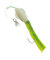 Team Norway Squid Jig Rig Size 18 cm/Haken 8/0