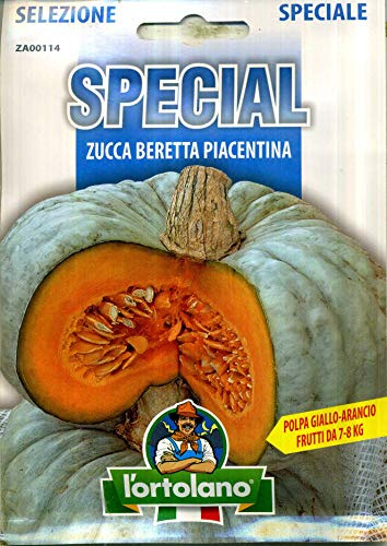 Sementi di ortaggi ibride e selezioni speciali ad uso amatoriale in buste termosaldate (80 varietà) (ZUCCA BERETTA PIACENTINA)