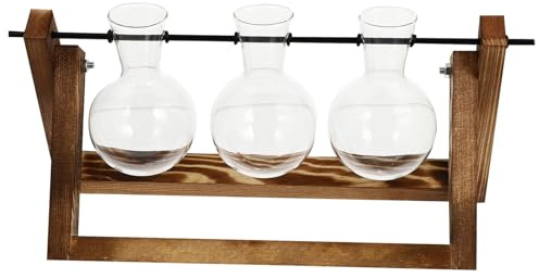 NIYANGLE Glass Hydroponic Planter Bulb Vase with Charcoal Burned Wooden Stand, Desktop Table Decor for Home Office, Tabletop Glass Plant Pot Decoration