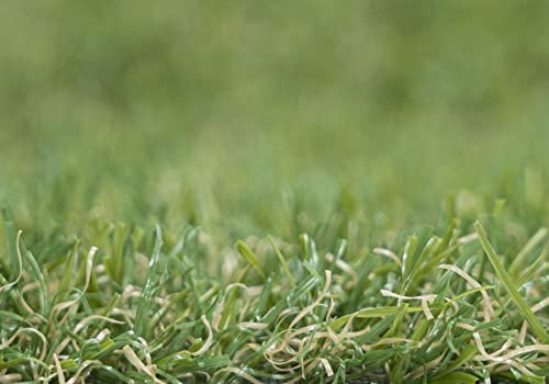 Kunstrasen Rasenteppich Cook für Garten - Florhöhe 20 mm - Gewicht ca. 1993 g/m² - UV-Garantie 8 Jahre (DIN 53387) | Rollrasen | Kunststoffrasen 4 m x 5 m