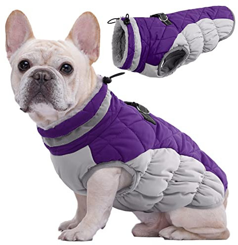 Kuoser Hundejacke Hundemantel für Kleine Hunde Winterweste, Wasserdicht Hunde Wintermantel Jacke Winter Hunde Mantel Mit Geschirr Warme Winterjacke Hundepullover Haustier Skifahren Kostüm Lila, XS