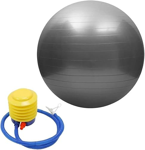 Haadi Traders Gym Ball Exercise Fitness Yoga Pregnancy Birthing Ball Anti Burst 55cm 65cm with Pump…Excercise Body Ball (55CM)