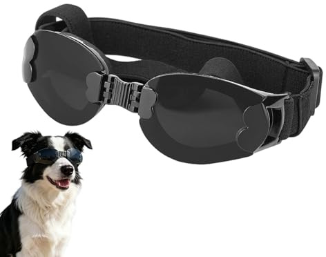 Hundsolglasögon | vikbara valpskyddsglasögon | UV-skyddsglasögon för husdjur – för djurägare och : vandring, sol, vinter, snö, trädgård, promenader,