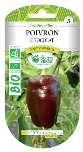 Graines poivron chocolat BIO Les Doigts Verts
