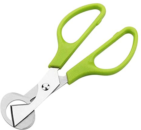 Caille Ciseaux, Ciseaux à Œufs En Acier Inoxydable, Coupe-Coquille d'Oeuf Caille, Oeuf Shell Cutter, Acier Inoxydable Ouvre-Coquille d'Oeuf pour Maison, Cuisine, Restaurant (Vert)