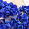 Skalago Pétalos de rosas secas reales, preservados de forma natural para decoración de bodas, despedidas de soltera, compromisos, noches románticas y decoración de mesa, confeti azul