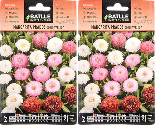 Semi di Fiori – Margherita Prados Doppia Variata – Batlle (Confezione da 2)