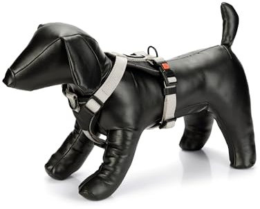 Karlie Art Sportiv Premium Y-Geschirr, Hundegeschirre, Nylon, Grau, 60-76x2,5 cm