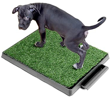 QWORK® 63 x 51 cm Toilettes pour Chien avec Herbe Artificielle, Facile à Nettoyer, pour Chiots et Chiens âgés