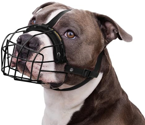 BRONZEDOG Maulkorb für Pitbull Hund aus Atmungsaktivem Metallkorb für Große Hunde Amstaff Staffordshire Terrier Beißen Kauen Bellen