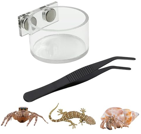 MJumpiantis - Plato de Comida de araña Saltando – Kit de Cuenco para Beber con Pinzas | Decoración de alimentación de terrario para Cangrejo ermitaño, Serpiente, Animal pequeño, hábitat de