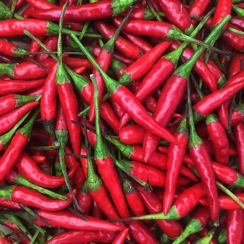 KEJORA Fresh Red Thai Chili Peppers -1 Lb (16 oz)