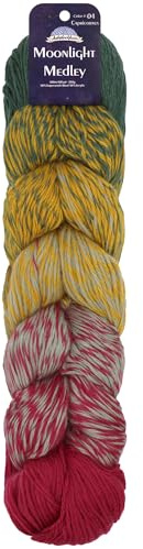 JubileeGarn Månsken Medley Garn - Ombre DK Vikt Merinoull/Akryl - 200 g/Hank - Oxen - 1 Skein