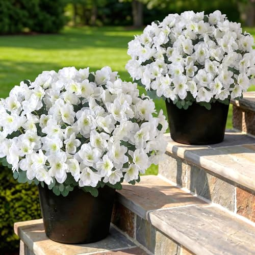 2Pcs Artificial Azalea Flower Topiary Ball Trees for Front Door(White)