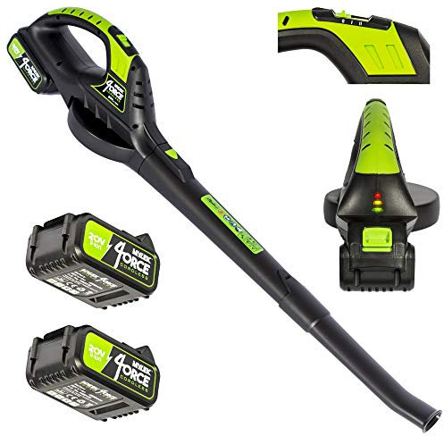 MYLEK Cordless Leaf Blower With 2 x 20V Li-ion 4000mAh Battery & Fast Charger - Two Speed - Battery Indicator LED - Lightweight Handheld For Leaves, Wood Chips, Garden Debris, Grass Cuttings