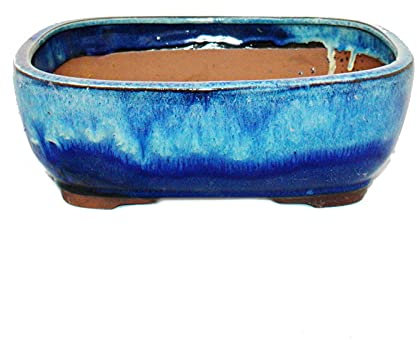 Exotenherz - Bonsai-Schale - rechteckig G5B - zweifarbig blau-beige - L26,5cm x B21,5cm x H9cm