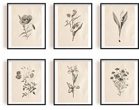 INFUNLY 6pcs Vintage Plants Wall Art Prints Set Botanical Pictures Poster 8×10 Boho Floral Artwork Decor Unframed Canvas Poster Prints Aesthetic Wall Art for Bedroom Kitchen Living Room Home