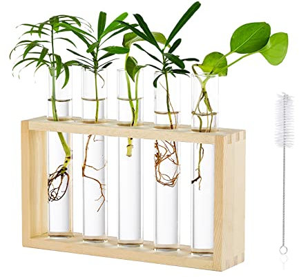 Tabletop Hanging Glass Planter Propagation Station Modern 5 Test Tube Flower Bud Vase in Wood Stand Rack Tabletop Terrarium for Hydroponic Plants Cuttings Office Home Decoration, Gift for Plant Lover