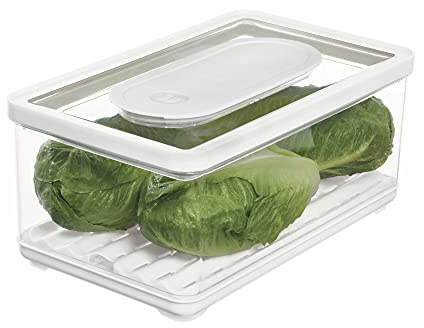 iDesign iD Fresh BPA-Free Recycled Plastic Produce Kitchen Storage Bin, Fridge Organiser, Suitable for Fruit and Veg Storage, Large, Clear/White/Green 31.75/19.05/14.22 cm
