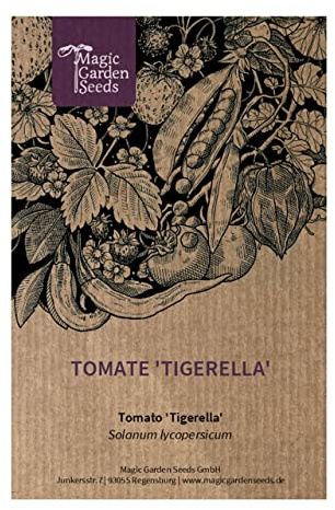 Flammig röd-gul tigertomat Tigerella (Solanum lycopersicum) 10 frön