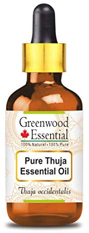 Greenwood Essential Pure Thuja Essential Oil (Thuja occidentalis) with Glass Dropper Steam Distilled 30ml (1 oz)