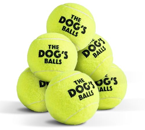 The Dog's Balls Dog Tennis Balls Tough 2.5 6-Pack Yellow Floats in Water