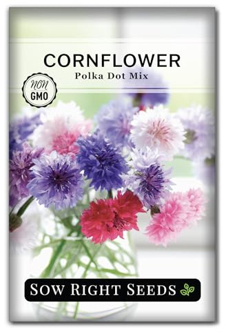 Sow Right Seeds - Polka Dot Mix Cornflower Seeds for Planting - Non-GMO Heirloom Packet with Instructions, Plant an Outdoor Flower Garden - Fast Growing Bachelor’s Buttons - Colorful Annual Blooms (1)