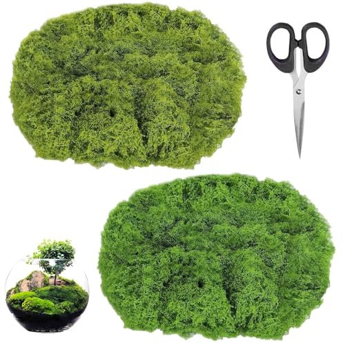 Megcdtr Kunstmoos zum Dekorieren, 100g Moosbild, Moos in 2 versch Farben, Kunstmoos zum Basteln Kunstmoos Künstliches Moos für Wand Krippe Aquarium Krippe Modellbau