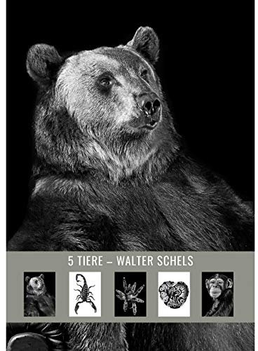 5 TIERPOSTKARTEN. Postkartenset # 7 Walter Schels